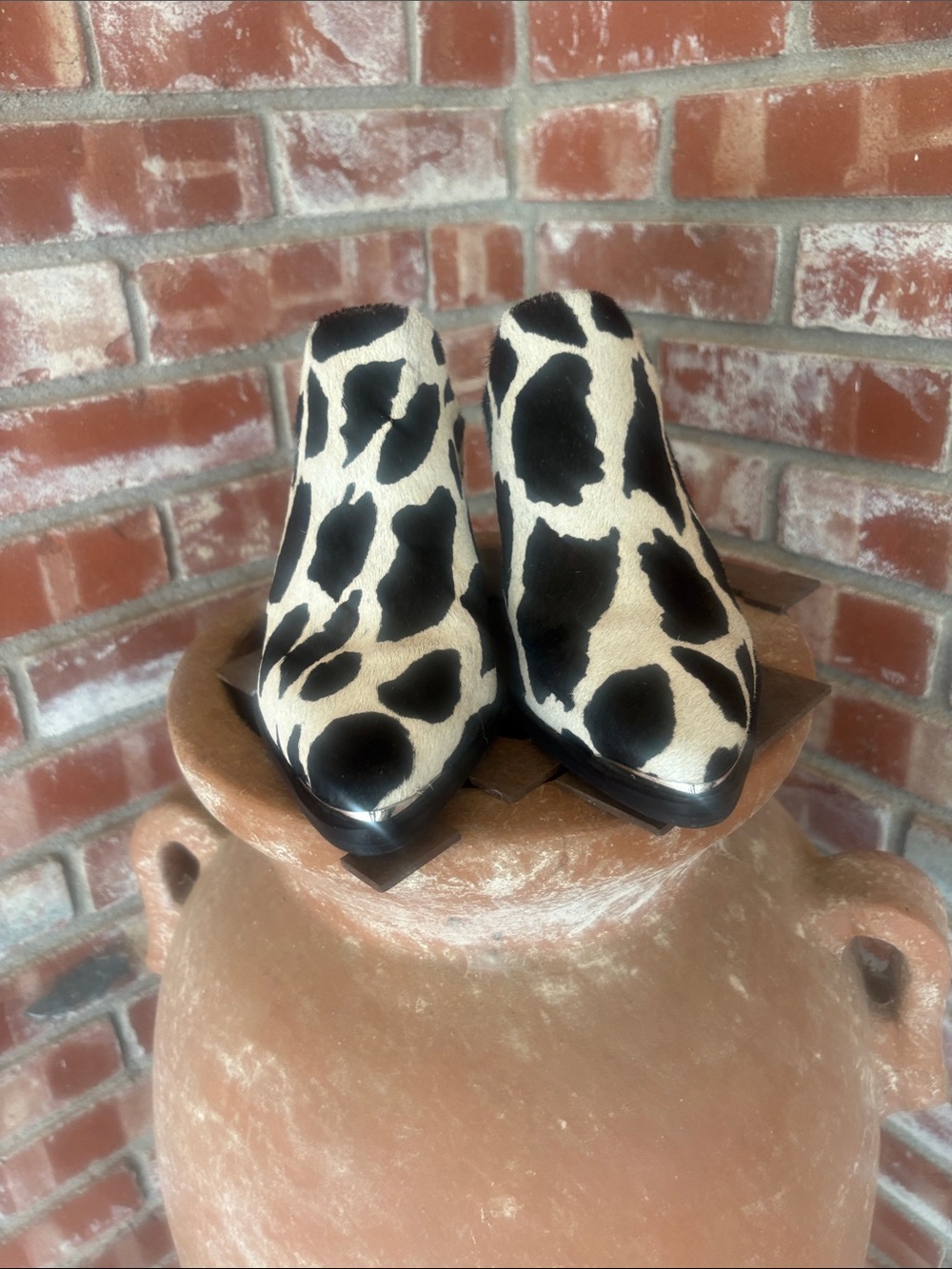 Steve MaddenCow Print Ankle Boots - Black & Cream Women’s Booties - Picture 2 of 7